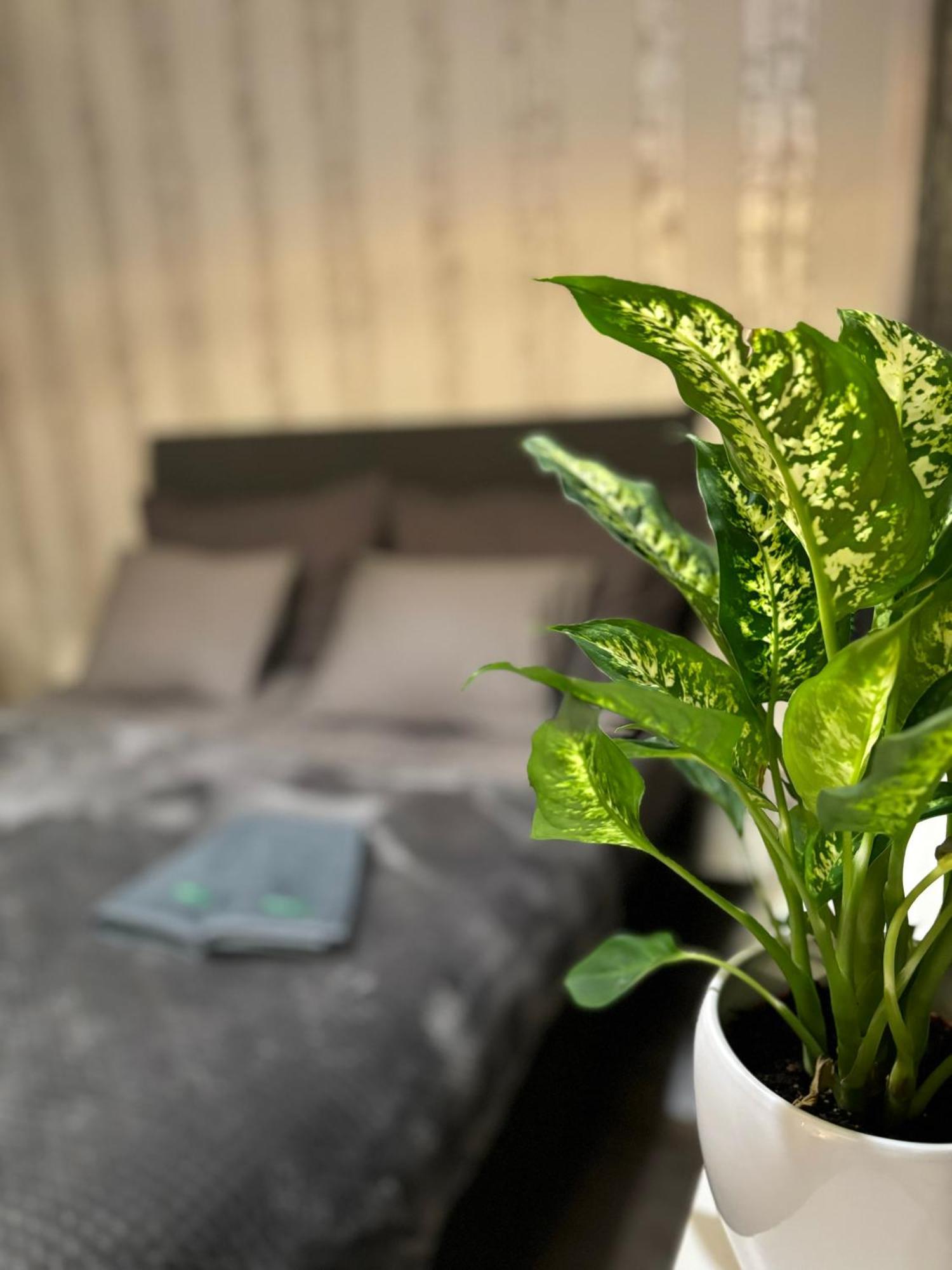 Vartiomaja - Beautiful Apartment Near Arktikum Rovaniemi Zewnętrze zdjęcie